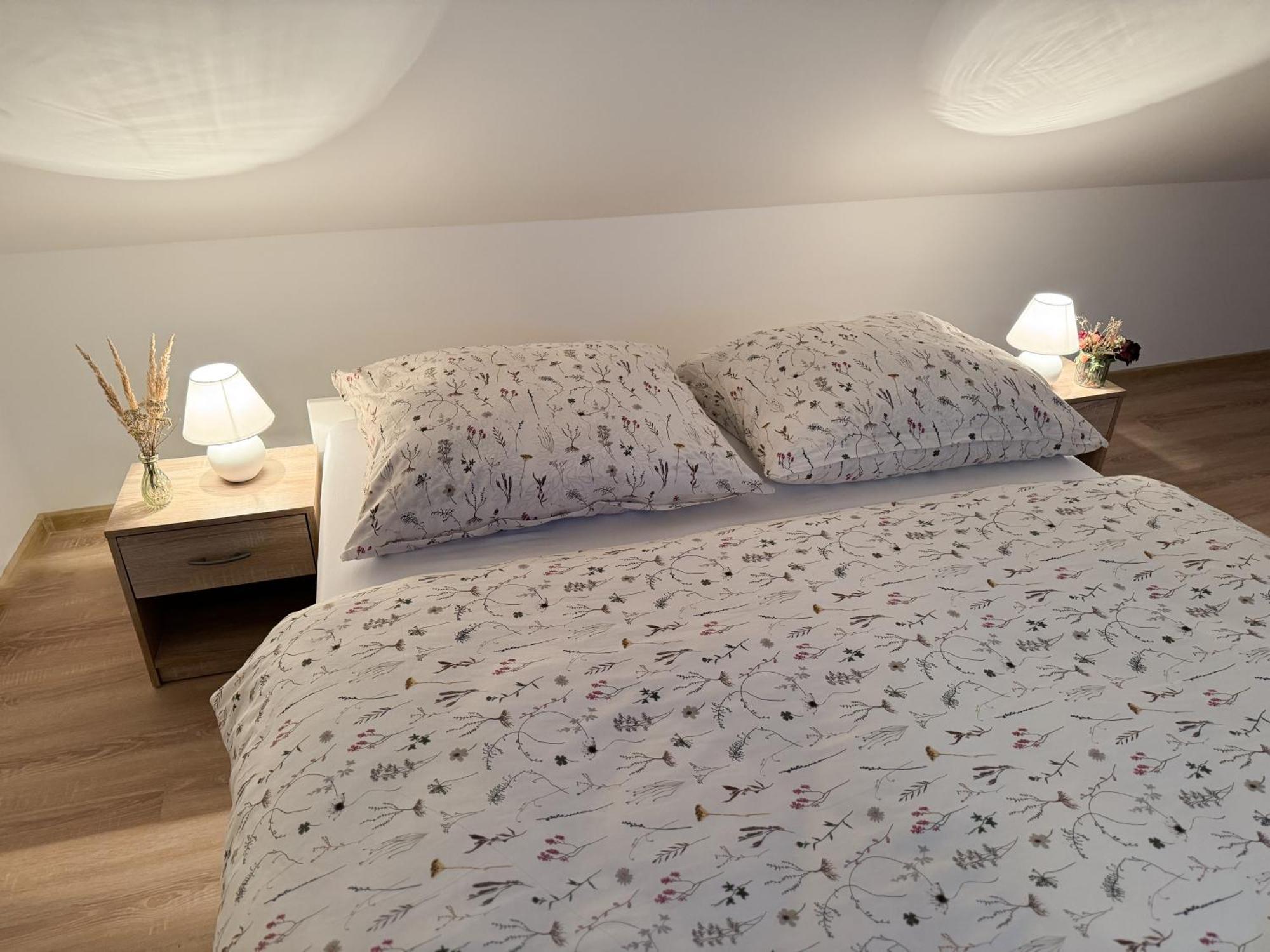 קרלובי וארי Apartment U Cerneho Orla מראה חיצוני תמונה