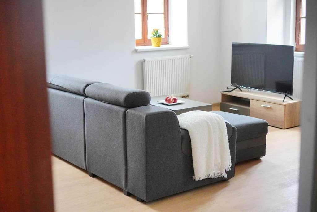 קרלובי וארי Apartment U Cerneho Orla מראה חיצוני תמונה