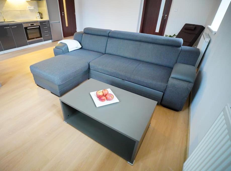 קרלובי וארי Apartment U Cerneho Orla מראה חיצוני תמונה