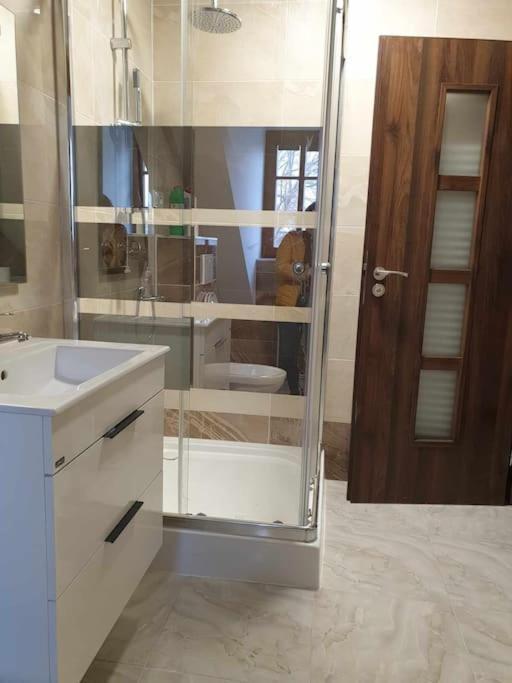 קרלובי וארי Apartment U Cerneho Orla מראה חיצוני תמונה